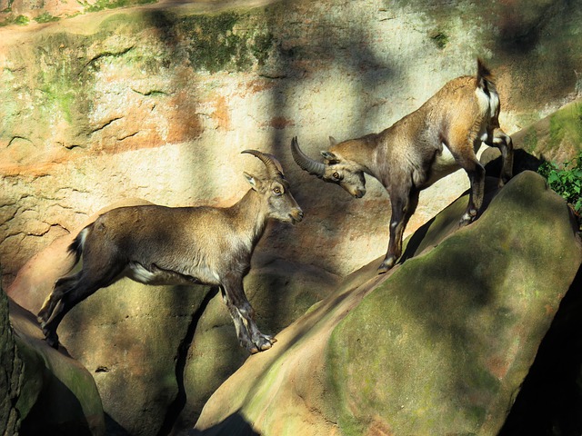 Kämpfen statt aufgeben