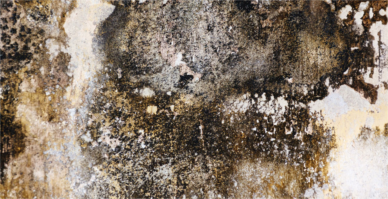 There is no image for this Content!