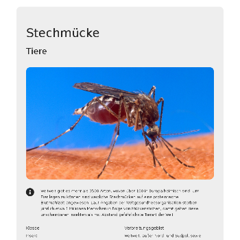 Stechmücke - Tiere & Haustiere