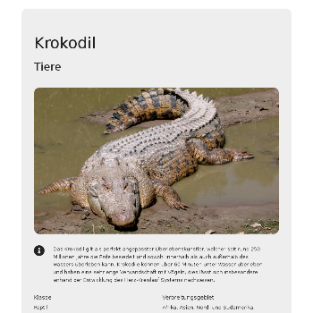Krokodil - Tiere & Haustiere