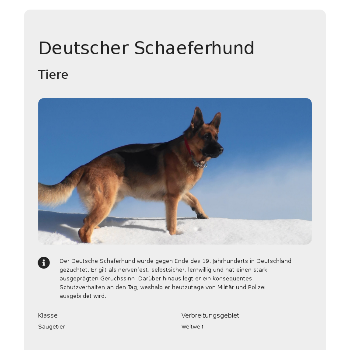 Deutscher Schaeferhund - Tiere & Haustiere