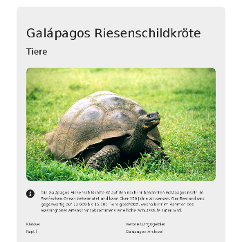 Galápagos-Riesenschildkröte - Tiere & Haustiere