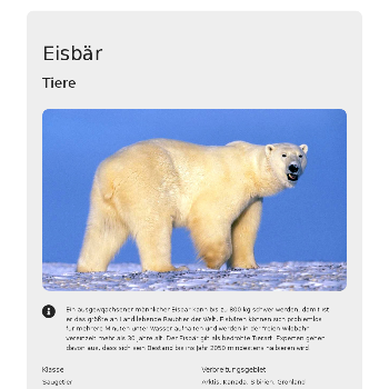 Eisbär - Tiere & Haustiere