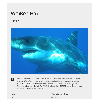 Weißer Hai - Tiere & Haustiere